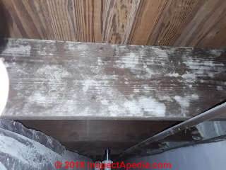 White deposits on joists over a basement, possibly lime paint (C) InspectApedia.com SA